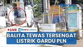 LIVE: Polisi Selidiki Balita Tewas Tersengat Listrik di Dekat Gardu PLN yang Tak Terkunci di Blitar