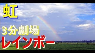 JOG    ウォッチ 『雨上がりの虹』偶然にも撮影！消えるまで！