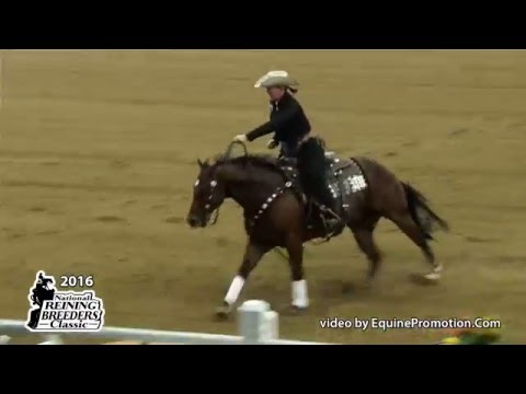 Hickorys Baylite ridden by Karen Shedlauskas  - 2016 NRBC (NP Challenge)