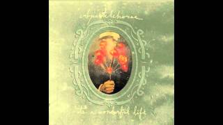 Sparklehorse - King of Nails