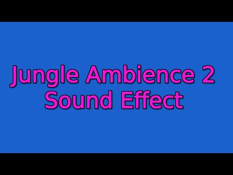 Jungle Ambience 2 Sound Effect