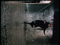 The Matrix 1999 Trailer 1 35mm Open Matte