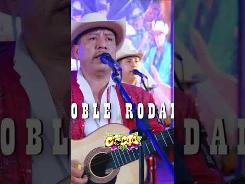 ¿Beto y Sus Canarios o Los Armadillos de la Sierra? 🫣🤠 Cocho FEST Feria Flores Magón #TierraCaliente