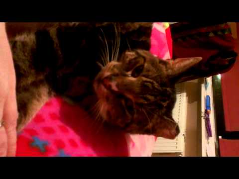 Jelle knuffelt in bed