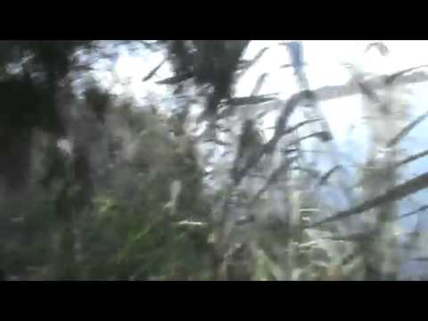 استهداف عناصر النظام بقذيفة آر بي جي من قبل لواء أحفاد محمد في قرية الجفرة في ريف دير الزور