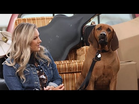 Kaitlyn Baker - Hound Dog