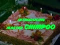 Film Indian Zameer 1975 Subul RO Este Inserat In Film