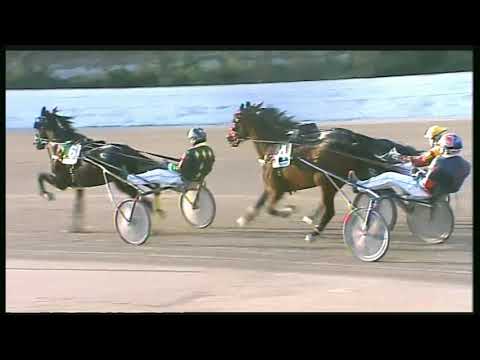 Trotto 14/02/2020 - 5ª corsa