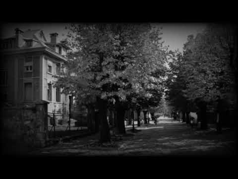 Crnogorska Poezija: Aleksandar Leso Ivanović „Jutra Jugova“