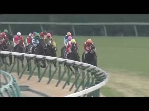 2017.12.24 Christmas Rose Stakes (JPN) - Taisei Pride