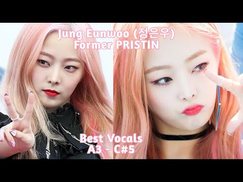 [BEST VOCALS] JUNG EUNWOO (Former Pristin/Hinapia) BEST VOCALS // 정은우(前 프리스틴/희나피아) 베스트 보컬 (A3 - C#5)