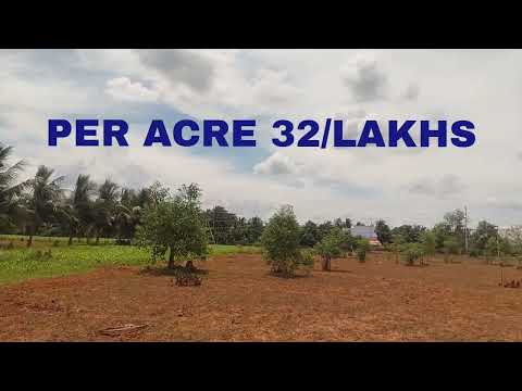  109000 Sq.ft. Agricultural/Farm Land for Sale in Gandarvakottai, Pudukkottai