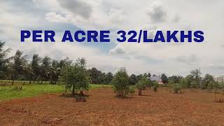  Agricultural Land for Sale in Gandarvakottai, Pudukkottai