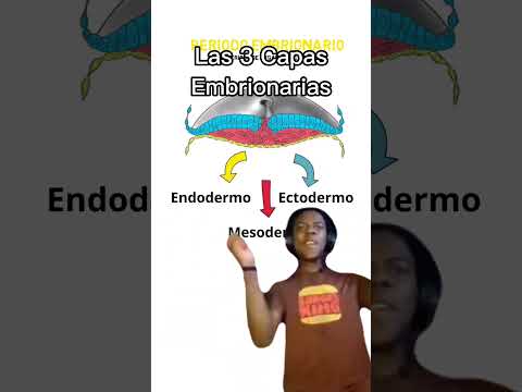 Ya no es gracioso 🥲 #embriologia
