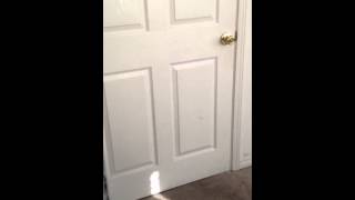 Are you blind deaf and dumb