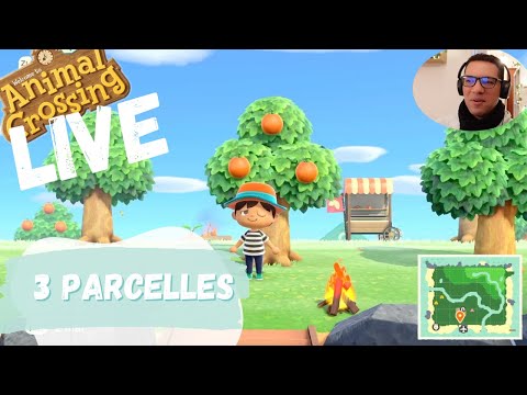 MISSION 3 PARCELLES - LIVE  - ANIMAL CROSSING LET'S PLAY  🤗 🌸 #ACNH