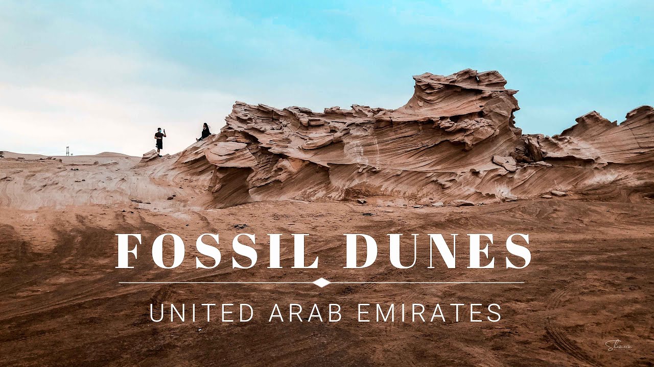 Explore ancient fossil dunes in Abu Dhabi's desert landscape.