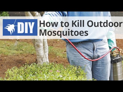  How to Get Rid of & Kill Mosquitoes in the Yard  Video 