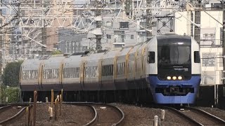 255系 特急 新宿さざなみ1号　市川駅通過