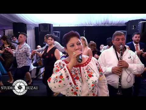 Crina si Dan Coreanu  ❌❌❌ Nunta la Campina - Colaj Sarbe SUPERB