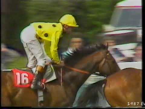 1987 Epsom Derby  Reference Point + Replay & Enclosure