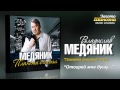 Владислав Медяник - Отогрей мне душу (Audio) 