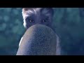 Disney Dinosaur The Egg Hatches Sound Effects Only