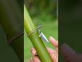 Colorful Balloon Slingshots Using Spoon And Bamboo Diy Bamboo Creation