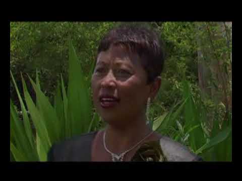 Ramaroson Wilson - "Ny hirako"