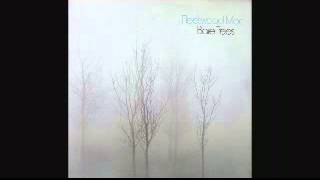 Sentimental Lady   Fleetwood Mac~1972