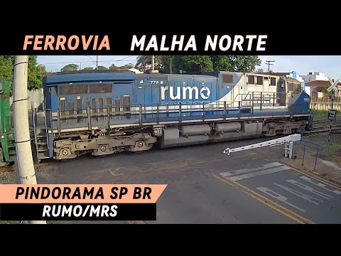 TREM AO VIVO PINDORAMA SP BRASIL