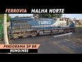 TREM AO VIVO PINDORAMA SP BRASIL