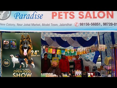 open Dog show in jalandhar 2021 (canine welfare club) all bred 24 January