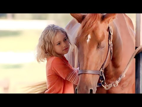 [Movie Recap] A Horse with a Broken Leg Was Counted Out, But It Won $14 Million!