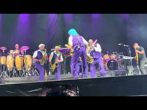 Squib Cakes - Dave Koz and the Summer Horns