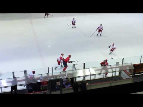 CZ Vojvodina 11 3 2020