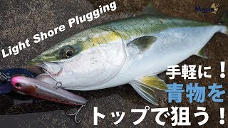 【青物入門者必見！】シーバスタックルから始めるライトショアプラッギング
