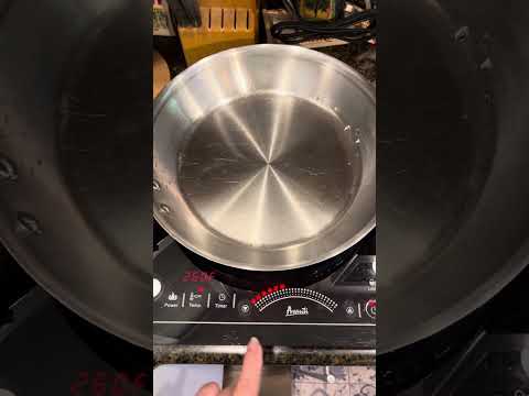 Avanti Portable INDUCTION Cooktop DEMO