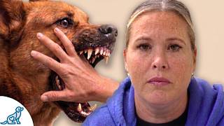 We Need To Talk About Your Puppy Biting/Leadership Problem