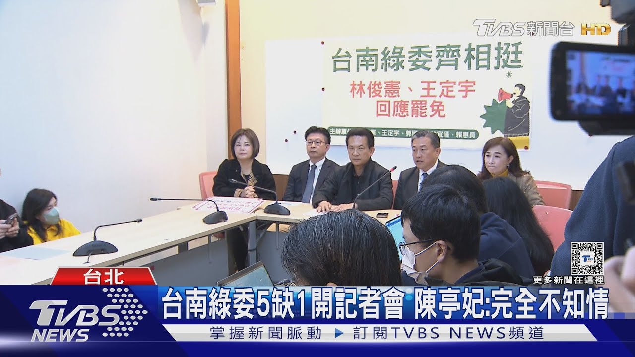 5南綠委合體反罷「缺陳亭妃」　林俊憲：立場同