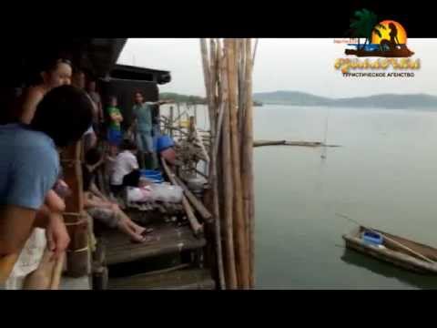 Тайланд. Паттайя. Экскурсия от тур агентства Русалочка - Дискавери Классик. Устричная ферма.