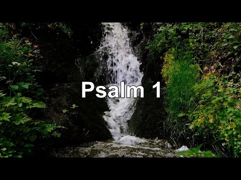 Psalm 1 - SELIGKEIT DER FROMMEN. UNSELIGKEIT DER GOTTLOSEN