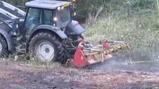 preview picture of video 'Scrub Clearance at Biss Meadows Country Park - day 2 - taking out some trees'