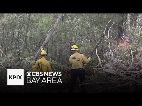 Cal Fire, Santa Cruz County residents concerned about upcoming wildfire risk