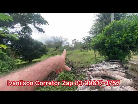 SÍTIO Á VENDA 12 HECTARES REMÍGIO PB ZAP 83 9 9617-1+75763632 IVANILSON CORRETOR DE IMÓVEIS