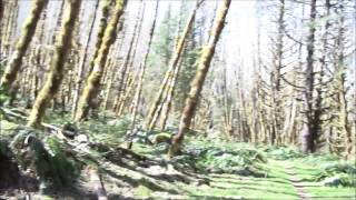 Santiam Wagon Road Part 3, Spring 2013