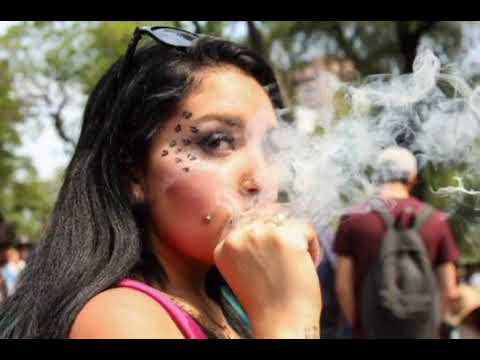 @limado.original-GENETIkA🌲(prodbytorbey)