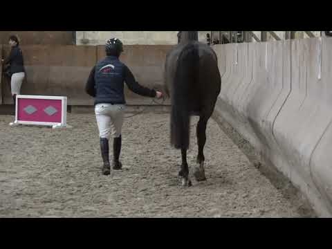 I'M SPINA DU RUISSEAU Z APLOMBS