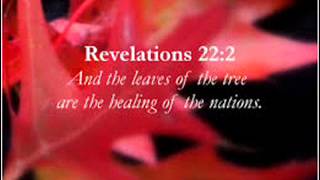 Kutless - You Save Me