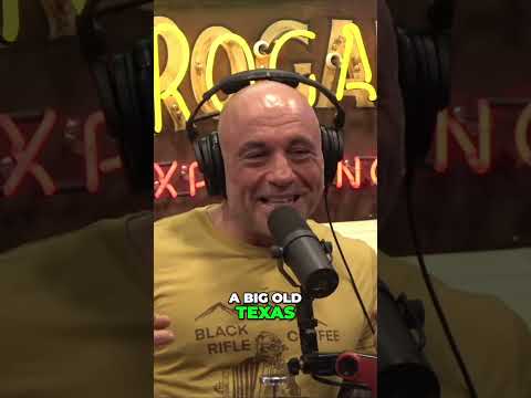 The Ultimate Guide to Eating Ribs  Why Hands Are a Must